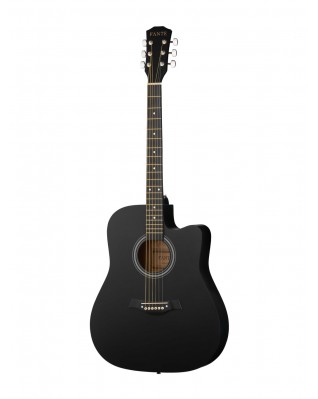 FANTE FT-221-BK Акустическая гитара 41", с вырезом, черная