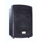 Soundking FP208-1A Пассивная акустическая система, 100Вт