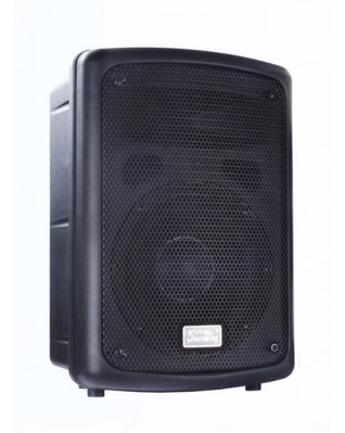 Soundking FP208-1A Пассивная акустическая система, 100Вт