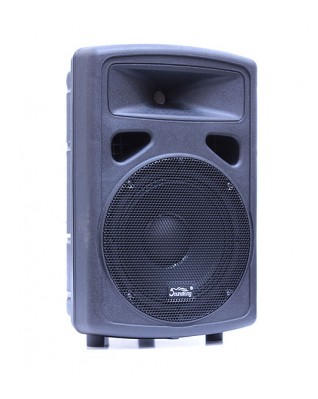Soundking FP0210 Пассивная акустическая система, 200Вт